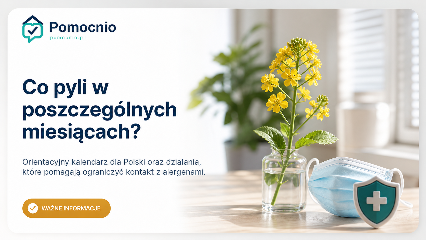 Co pyli w poszczególnych miesiącach?