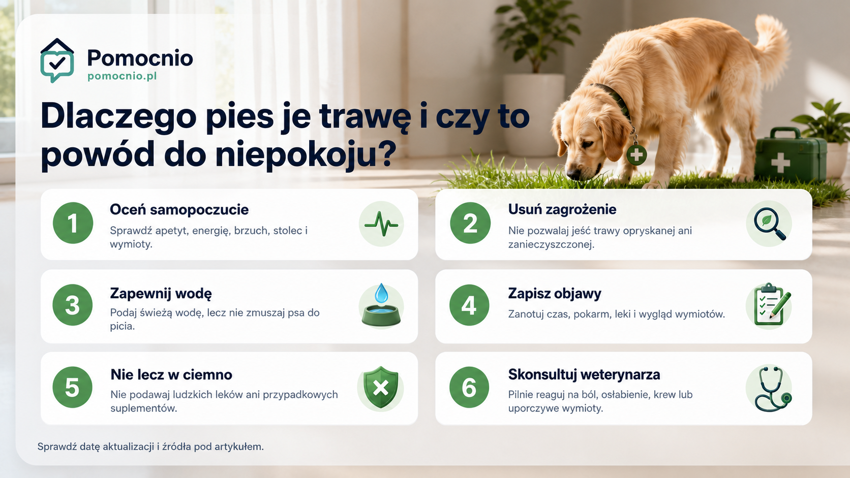 Sześć kroków postępowania, gdy pies je trawę